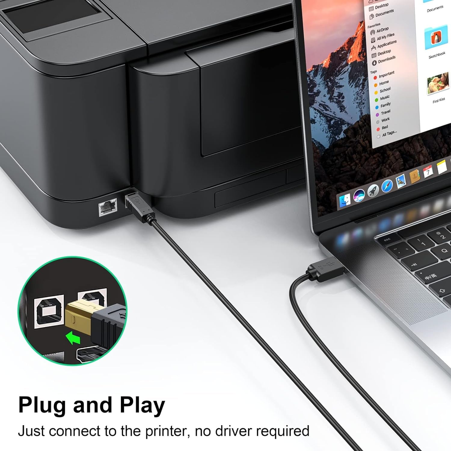 Printer Cable 25 FT - USB a to USB B Printer Cable Compatible with HP, Canon, Brother, Dell, Epson and More