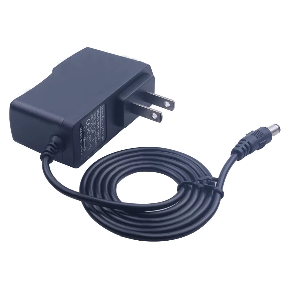 12.6 V 18650 Lithium Battery Charger DC 12.6V Li-Ion Battery Charger Power Supply Charger 100-240V AC Converter 12 V Charger
