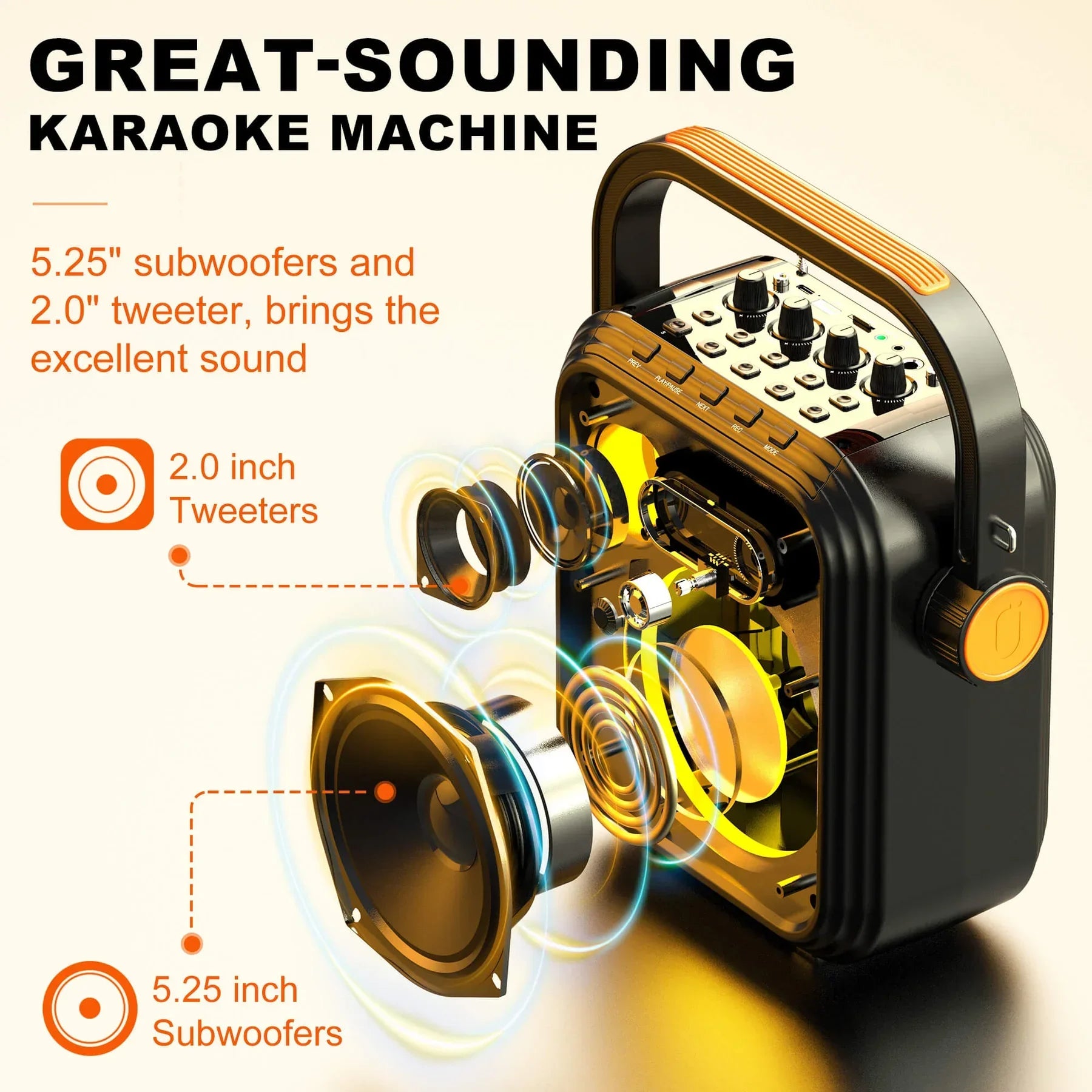 Portable Bluetooth Speaker, Outdoor Speaker with FM Radio, Portable PA System with 2 Microphones, Deep Bass, Wireless Stereo Pairing, AUX Input, TWS